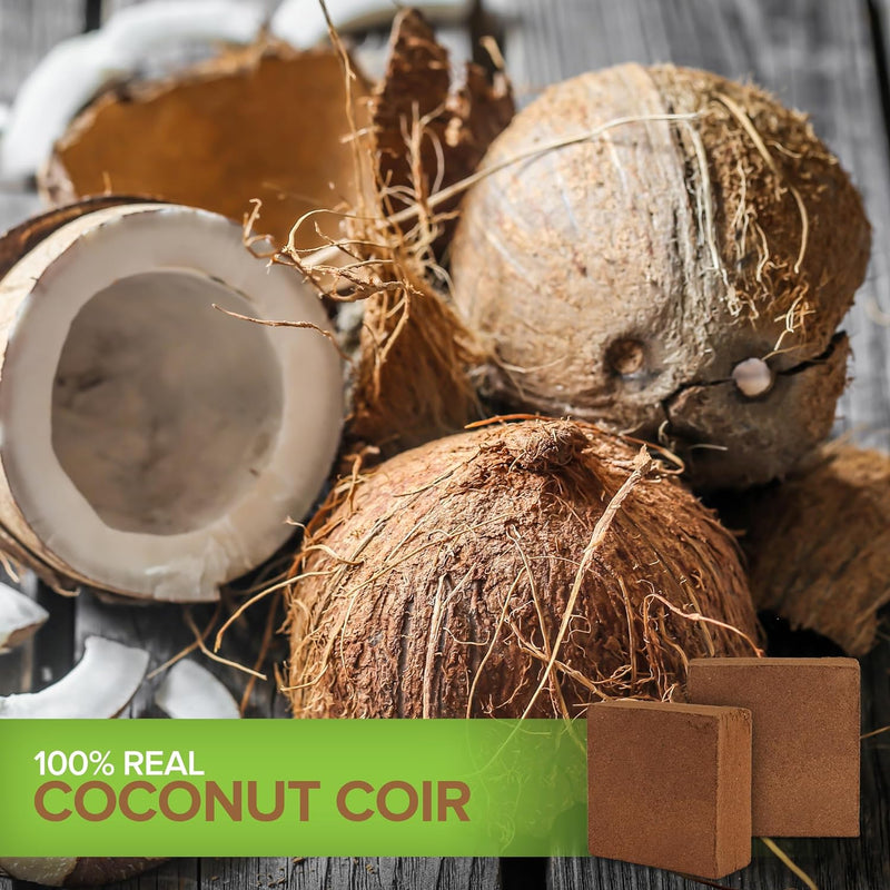 CocoCoir - Kokoserde