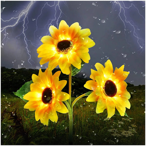 SunFlowers - Sonne Blume Lichter