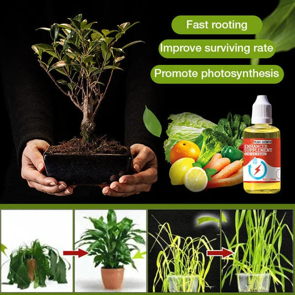 GrowDrop - Pflanzenwachstumsspray